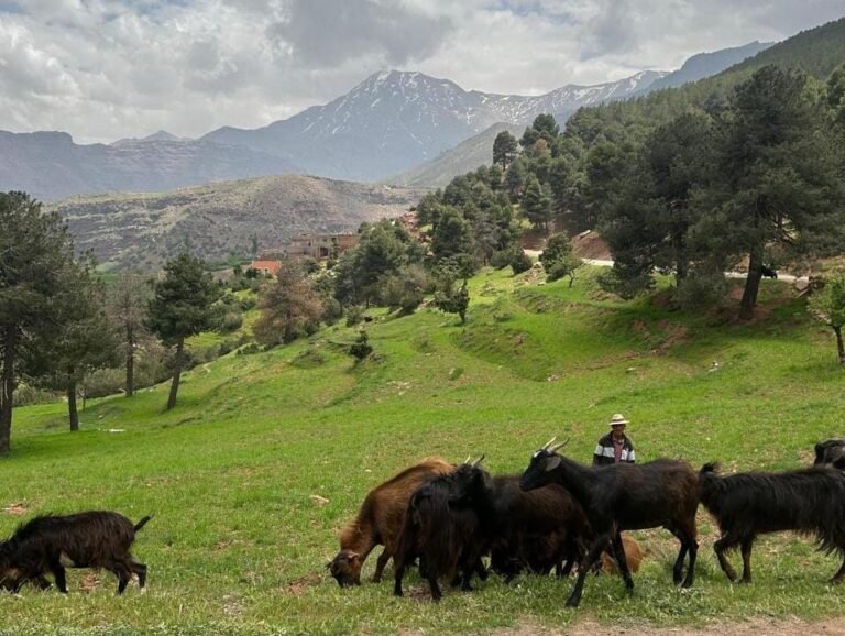 Atlas Mountains landscape