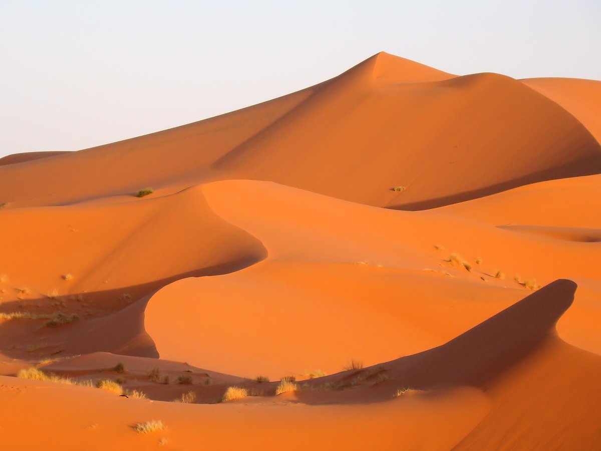 merzouga morocco - erg chebbi dunes