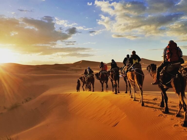 Camel trek at sunset in the Sahara near Merzouga