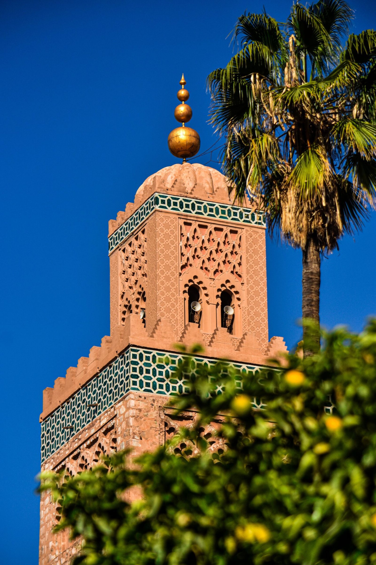 Pexels Youssef Baalla 421912064 20710152 Scaled