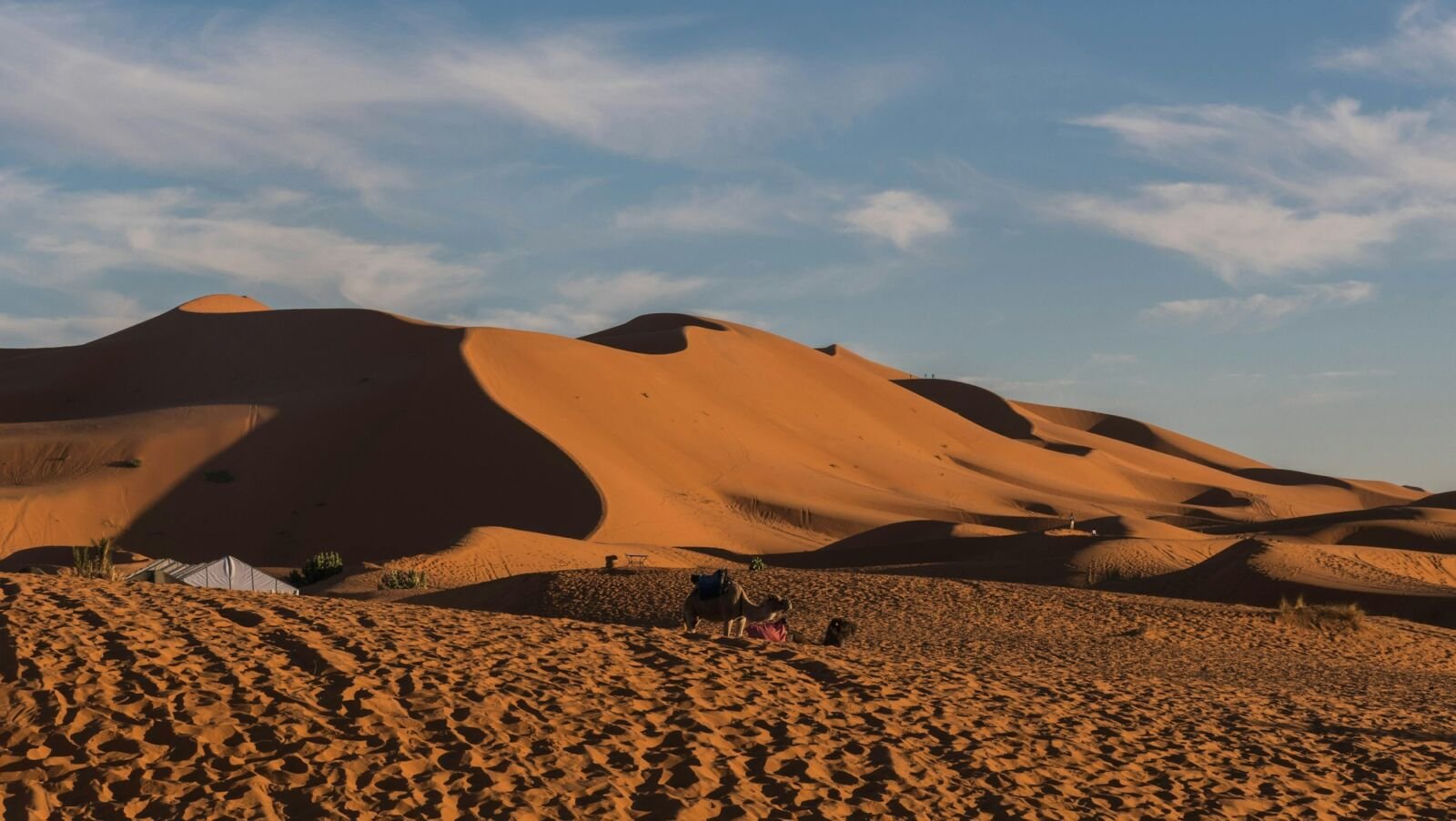 Golden dunes of Erg Chebbi in the Moroccan Sahara
